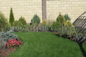 design_landscape (10)